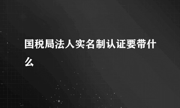 国税局法人实名制认证要带什么