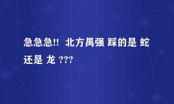 急急急!!  北方禺强 踩的是 蛇 还是 龙 ???