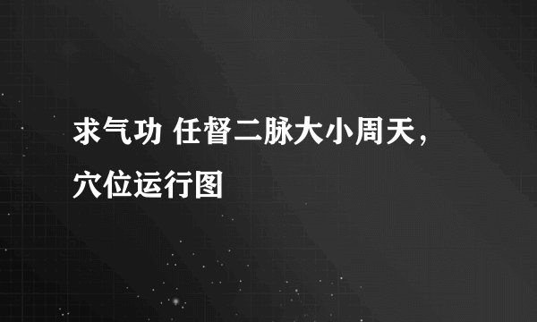 求气功 任督二脉大小周天，穴位运行图