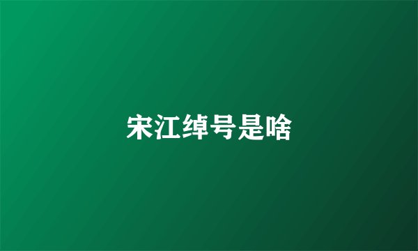 宋江绰号是啥