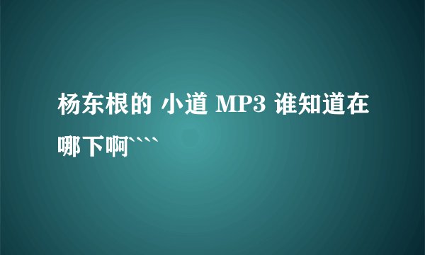 杨东根的 小道 MP3 谁知道在哪下啊````
