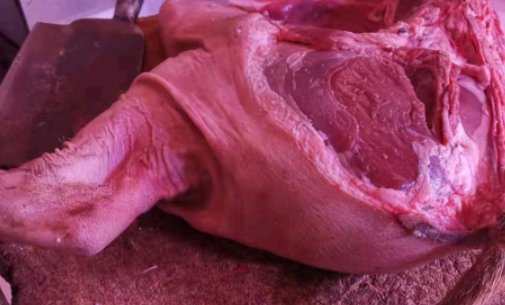 野猪肉怎么做好吃？