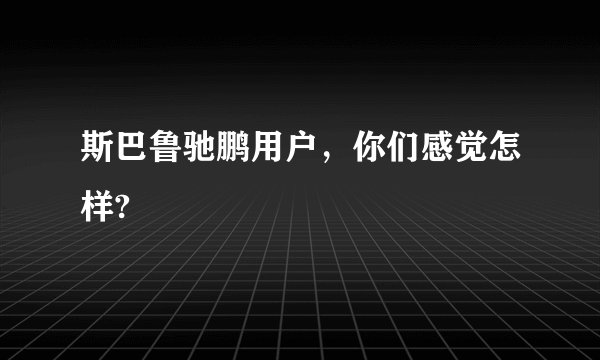 斯巴鲁驰鹏用户，你们感觉怎样?