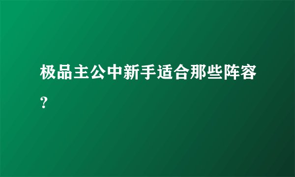 极品主公中新手适合那些阵容？