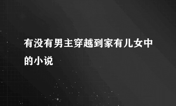 有没有男主穿越到家有儿女中的小说