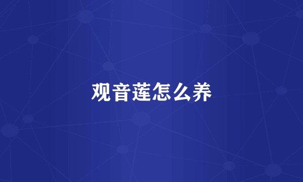 观音莲怎么养