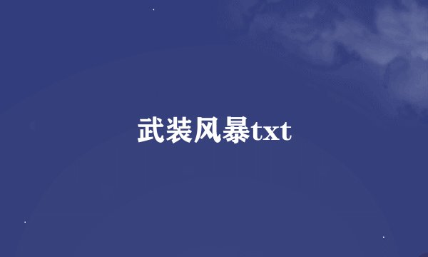武装风暴txt