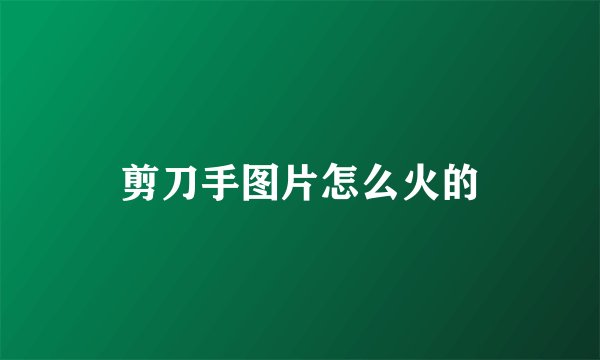 剪刀手图片怎么火的