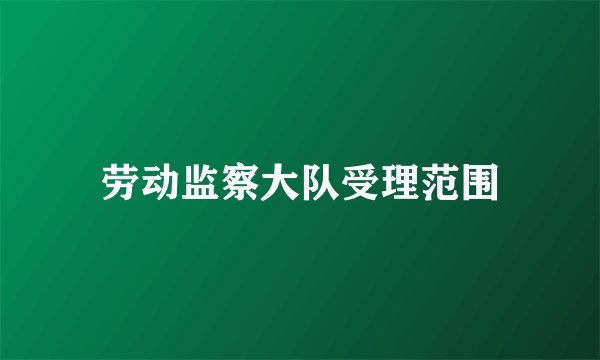 劳动监察大队受理范围