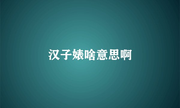汉子婊啥意思啊