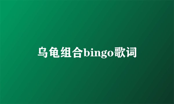 乌龟组合bingo歌词