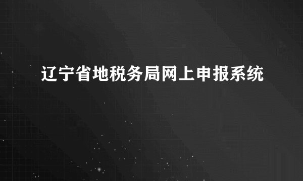 辽宁省地税务局网上申报系统