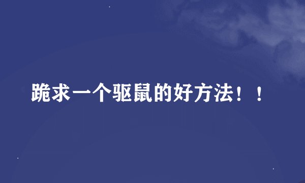 跪求一个驱鼠的好方法！！
