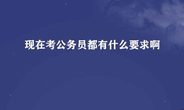现在考公务员都有什么要求啊