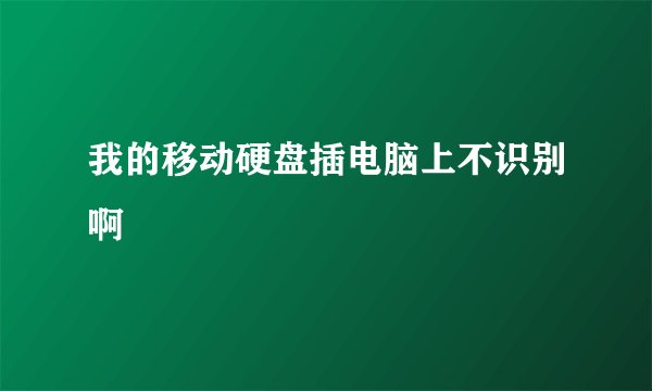 我的移动硬盘插电脑上不识别啊
