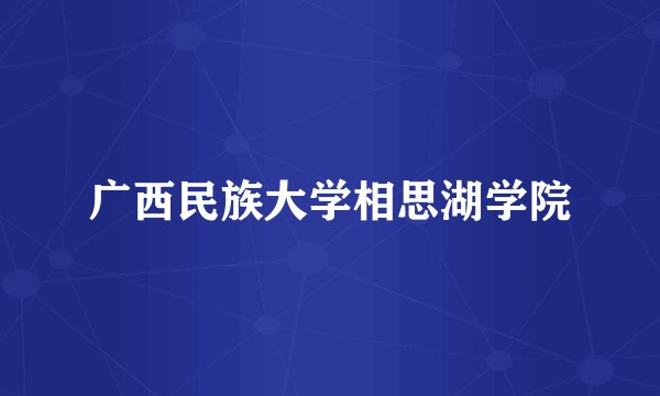 广西民族大学相思湖学院
