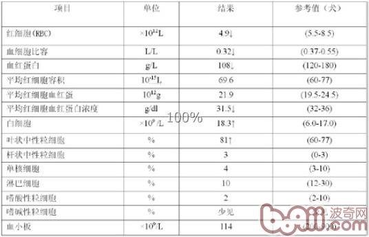 狗狗可以吃洋葱吗？
