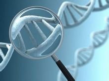 y染色体微缺失检测正常后怎么办