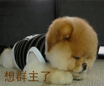 有意思的图片，最好是搞笑一点的