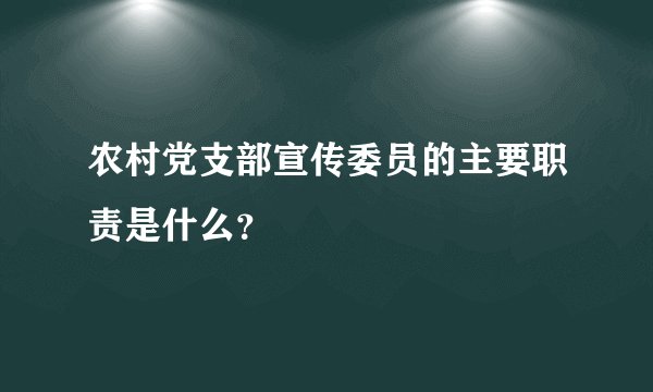 农村党支部宣传委员的主要职责是什么？