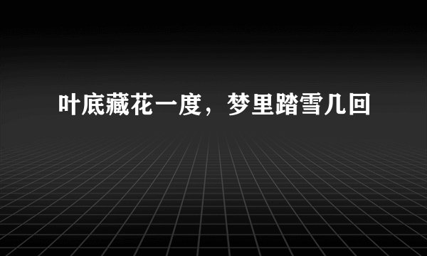 叶底藏花一度，梦里踏雪几回