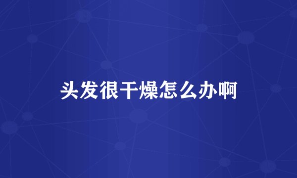 头发很干燥怎么办啊