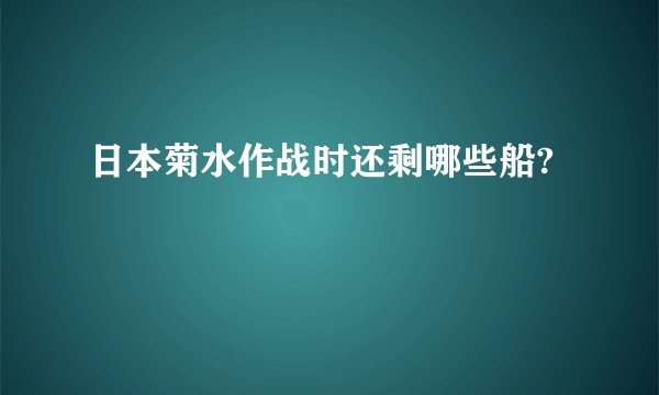 日本菊水作战时还剩哪些船?