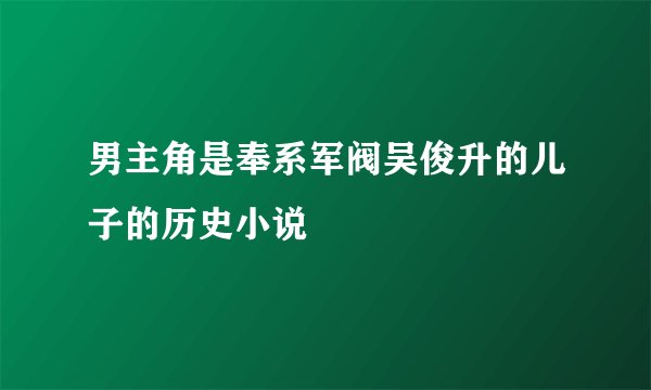 男主角是奉系军阀吴俊升的儿子的历史小说
