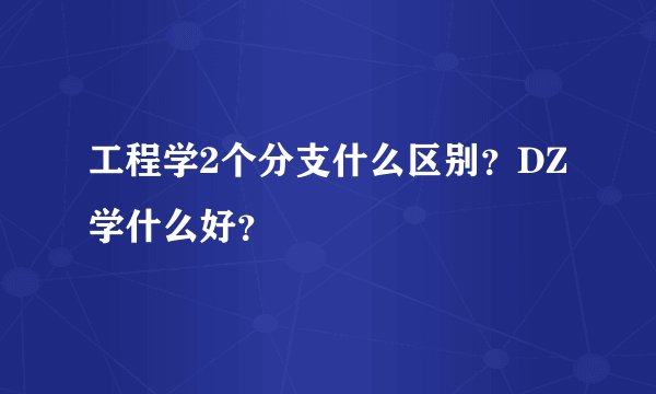 工程学2个分支什么区别？DZ学什么好？
