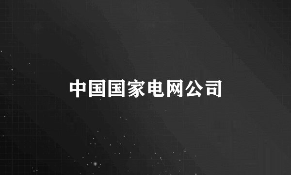 中国国家电网公司