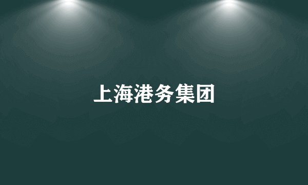 上海港务集团