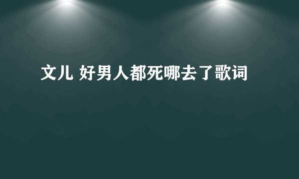 文儿 好男人都死哪去了歌词