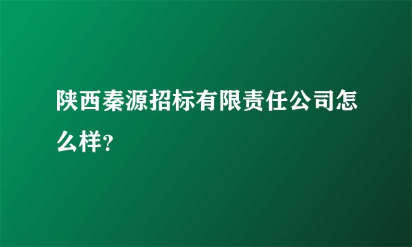 陕西秦源招标有限责任公司怎么样？