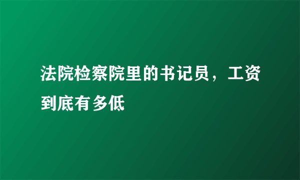 法院检察院里的书记员，工资到底有多低