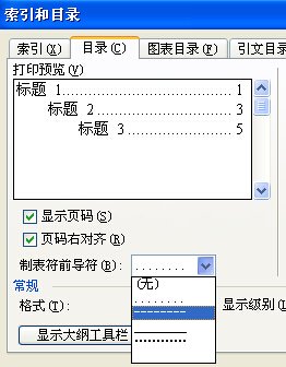 如何改变word目录后面的页码格式?