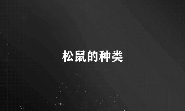 松鼠的种类