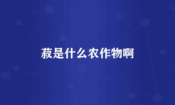 菽是什么农作物啊