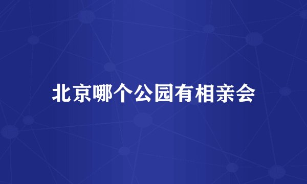 北京哪个公园有相亲会