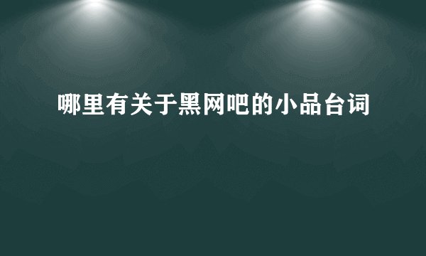 哪里有关于黑网吧的小品台词