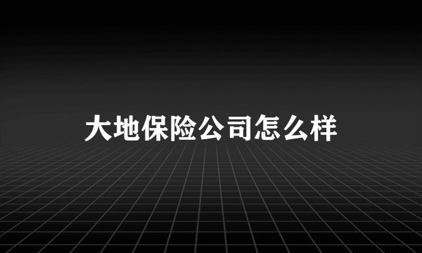 大地保险公司怎么样