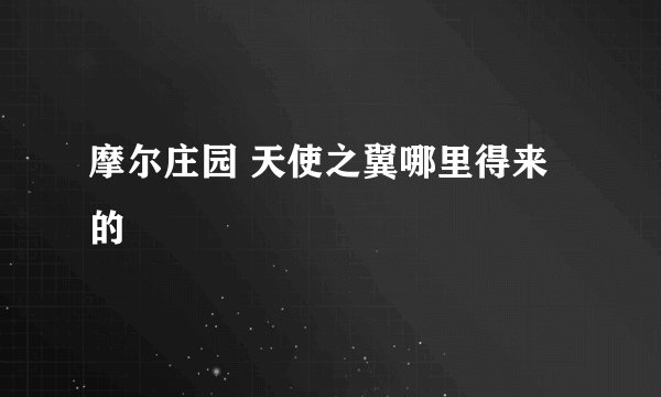 摩尔庄园 天使之翼哪里得来的