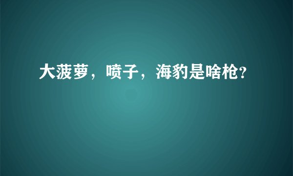 大菠萝，喷子，海豹是啥枪？