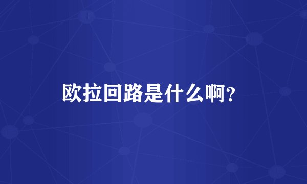 欧拉回路是什么啊？