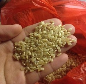 糙米怎么吃