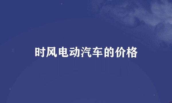 时风电动汽车的价格