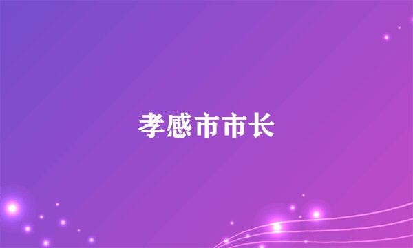 孝感市市长