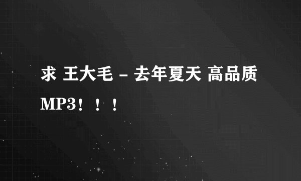 求 王大毛 - 去年夏天 高品质MP3！！！