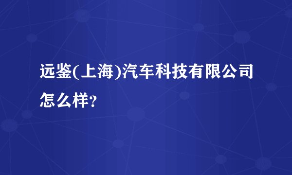 远鉴(上海)汽车科技有限公司怎么样？