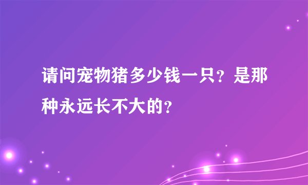 请问宠物猪多少钱一只？是那种永远长不大的？