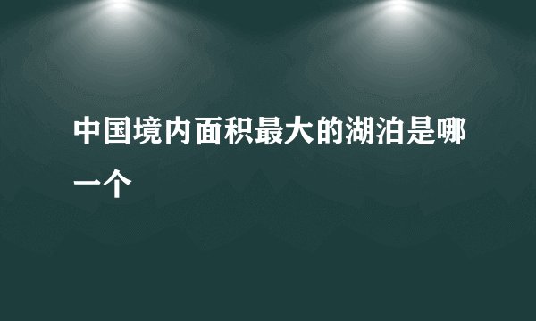 中国境内面积最大的湖泊是哪一个